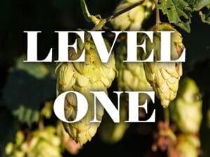 Level One Beer Brewing
